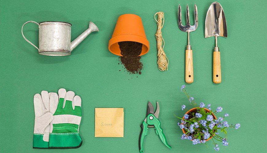 feature-image